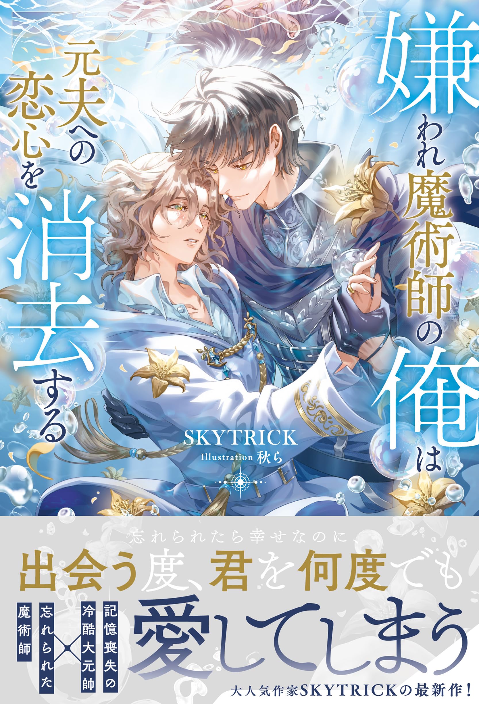 Amazon.co.jp: SKYTRICK: 本、バイオグラフィー、最新アップデート